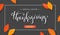 Thanksgiving beautiful handwritten lettering. Special offer on Thanksgiving holiday sale. - Vector illustration