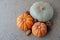 Thanksgiving colorful pumpkins and pine cones on grey background. Copy space for text. Autumn still life with seasonal food