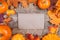 Thanksgiving Day concept - border or frame with orange pumpkins