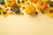 Thanksgiving day concept. Top view photo of sunflowers vegetables pumpkins pattypans rowan berries walnuts and physalis on