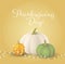 Thanksgiving day greeting card design with white, yellow and green pumpkins and garland. - Vector illustration