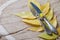 on Thanksgiving Day rusty cutlery knife and fork, metal and vintage knotted thread which is inserted into a yellow flower. They l