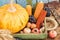 Thanksgiving day: Tray of different autumn vegetables