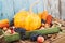 Thanksgiving day: Tray of different autumn vegetables