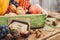 Thanksgiving day: Tray of different vegetables