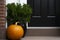 Thanksgiving decorated front door with pumpkin and potted plant. Autumn season