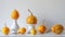 Thanksgiving decoration. Minimal autumn inspired room decoration. Selection of various pumpkins on white shelf.