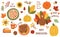 Thanksgiving dinner element set. Roasted turkey, pumpkin pie, corn. Vector traditional holiday meal and quotes