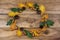 Thanksgiving door wreath with green and yellow oak leaves, acorns and pine cones