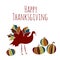 Thanksgiving ethnic maple turkey pumpkin doodle