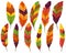 Thanksgiving or Fall Colored Feathers