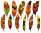 Thanksgiving or Fall Colored Feathers