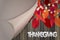 Thanksgiving flyer or poster. Fall traditional american holiday. Background with maple and oak leaves and glowing lights garland u