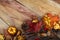 Thanksgiving golden pumpkin, acorn and oak leaves decor, copy sp