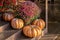 Thanksgiving or Halloween decorated front door with large pumpkins and chrysanthemum