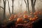 Thanksgiving and halloween pumpkins in autumn forest. Fall season landscape with bare trees, maple leaves and pumpkin crop.