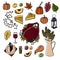 Thanksgiving hand drawn doodle style holiday traditionalsymbols. Turkey, pumpkin pie, apple pie, apple sider, wine