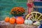 Thanksgiving Holiday Autumn Harvest Display Pumpkin Patch Halloween