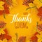 Thanksgiving holiday banner with congratulation text. Autumn tree leaves on yellow background. Autumnal design for fall banner