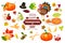 Thanksgiving icons autumn pumpkin traditional holiday food harvest celebration vector illustration.