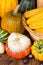 Thanksgiving motif with various pumpkins and chestnuts in front of a basket with corn cobs