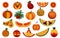 Thanksgiving Pattern, Fruit and vegetable in thanksgiving day soft blurred background