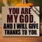 Thanksgiving Psalm 118:28