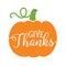 Thanksgiving Pumpkin Vector Illustration