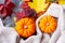 Thanksgiving pumpkins with fall leaves