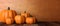 Thanksgiving. Pumpkins on rustic wooden table, banner, copy space. 3d illustration
