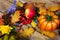 Thanksgiving rustic background with rose, leaves, pumpkin, apple