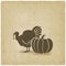 Thanksgiving symbols. turkey and pumpkin