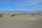 Thanksgiving Tourist at Mesquite Sand Dunes in Death Valley