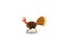 Thanksgiving Turkey Bird Cartoon Character Running