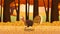 Thanksgiving Turkey Bird Cartoon Character Running In The Forest