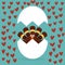 Thanksgiving turkey cartoon in cracked egg with heart confetti. Vector