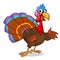 Thanksgiving turkey cartoon waving. Vector character isolated on white background.