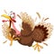 Thanksgiving Turkey Funny Scared and Running Cartoon Character Vector Illustration