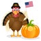 Thanksgiving Turkey USA Flag & Pumpkin