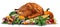 Thanksgiving Turkey On White