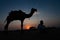 Thar desert, Rajasthan, India- 15.10.2019 : Silhouette of old cameleer and his camel at sand dunes. Cloud with setting sun, sky