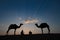 Thar desert, Rajasthan, India- 15.10.2019 : Silhouette of two cameleers and their camels at sand dunes. Cloud with setting sun,