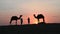 Thar desert, Rajasthan, India- 15.10.2019 : Silhouette of two cameleers and their camels at sand dunes. Cloud with setting sun,