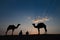 Thar desert, Rajasthan, India- 15.10.2019 : Silhouette of two cameleers and their camels at sand dunes. Cloud with setting sun,