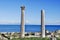 Tharros columns