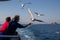 Thassos / Greece - 10.28.2015: Men feeding seagulls from the deck of an island ferry, seagull catching the cracker, blue sea