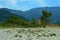 Thassos island mountain landscape