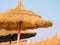 Thatch umbrellas, Hammamet, Tunisia