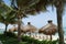 Thatched beach umbrellas & coconut trees in Cancun beach, Mexico