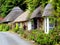 Thatched cottages, South Devon.